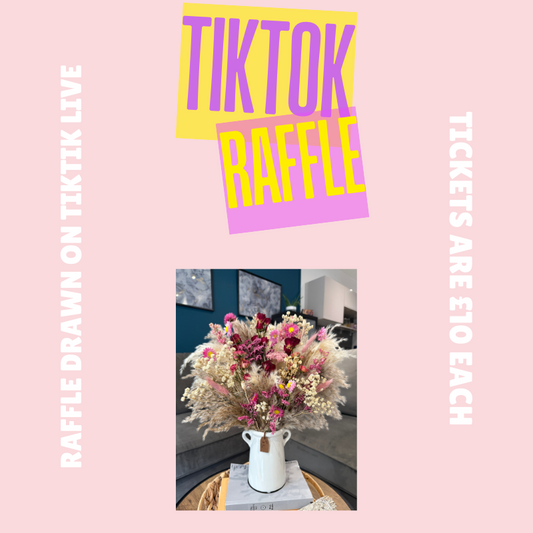 TikTok Raffle - 2 winners pick a prize